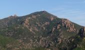 Excursión Senderismo Saint-Raphaël - Esterel : boucle pont du Grenouillet - col des Suvières  - Photo 2