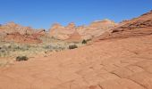 Tour Wandern Unknown - 2024 Vermillon Cliffs Edmaiers trail - Photo 9