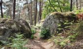 Tocht Stappen Fontainebleau - Fontainebleau Circuit PR Sentier Denecourt 5 - Photo 16