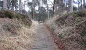 Trail On foot Apeldoorn - palieis 't Loo 