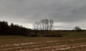 Trail Walking Sprimont - banneux . rougethier . nanneaux - Photo 6