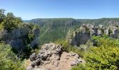 Randonnée Marche Saint-Pierre-des-Tripiers - Cassagnes crête vallée Jonte et Tarn 12,2 km - Photo 15