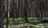 Trail Walking Martelange - Forêt d'Anlier - Le Gros Hêtre - Photo 6