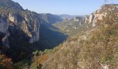 Trail Walking Peyreleau - belle rando dans les Cevennes  - Photo 17