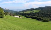 Trail On foot Hauenstein-Ifenthal - Challhöchi - Ober Belchen - Photo 2