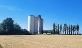 Excursión Senderismo Le Châtelet-en-Brie - Boucle champêtre autour de Chatelet en Brie - Photo 3