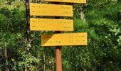 Trail Walking Valloire - Valloire-La Chapelle Saint-Pierre - Photo 8