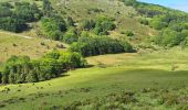 Trail Walking Sare - Sare de col en col - Photo 2