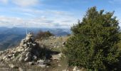 Tour Wandern Toudon - Mont Brune depuis Toudon - Photo 4