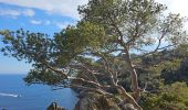 Excursión Senderismo Hyères - Hyères - La presqu'île de Giens - Circuit côtier ouest  - Photo 13