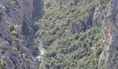 Tocht Stappen La Palud-sur-Verdon - Rando Barbin-Palud-Bastidon - Photo 1