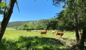 Tour Wandern Rochefort - Wavrielle  12-06-20 - Photo 12