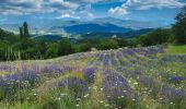 Tour Wandern Piégros-la-Clastre - 01-AOU-21 - Photo 1