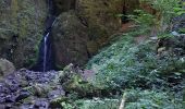 Tocht Stappen Urmatt - Urmatt Cascade du Soultzbach - Photo 3