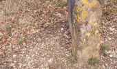 Trail Walking Valréas - borne papale  - Photo 2