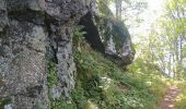 Tour Wandern Wegscheid - FucksfelsenBelacker - Photo 5