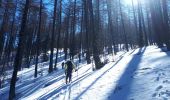 Excursión Esquí de fondo Crévoux - 210321 arête de la Ratelle - Photo 2