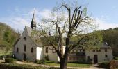 Tour Zu Fuß Rüdesheim am Rhein - Rundwanderweg Tanne - Photo 3