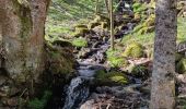 Tour Mountainbike Urbach bei Kaysersberg - Fréland - cimetière Duchesne - Photo 5