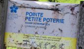 Randonnée Marche Le Marin - La grande aventure, pointe borgnes, petite poterie et Anse figuier  - Photo 15