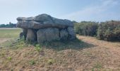 Excursión Bicicleta híbrida Belz - A la découverte des monolythes - Photo 3