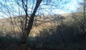 Tour Wandern Quevillon - 20211218-Quevillon  - Photo 15