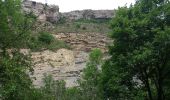 Trail Walking Le Saix - Le Fai - Lac de Peyssier - Photo 8