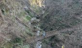 Trail  La Sône - La Sône le sentier du martin pêcheur  - Photo 6