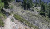 Randonnée Marche Marseille - Mont Puget par aiguille Guillemin, retour par le Vallon Mestrallet - Photo 7