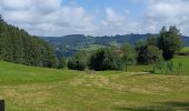 Randonnée Vélo électrique Winden im Elztal - chapelle hornleberh  - Photo 18