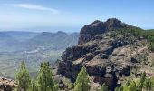 Randonnée Marche Tejeda - Pico de las Nieves (Gran Canaria) - Photo 16