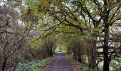 Tocht Stappen Mechelen - Mechels Broek  - Photo 18