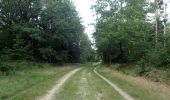 Trail On foot Enge-Sande - Petersburger Weg - Photo 4