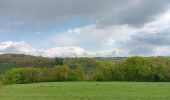 Tocht Stappen Esneux - entre Mery et bois Manant - Photo 12