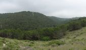 Tocht Te voet Torroella de Montgrí - SL-C 20 Cala Pedrosa i Cala Feriol - Photo 4