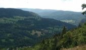 Tour Wandern Morbier - Morbier 23 juillet 2020 CAF - Photo 7