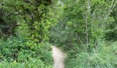 Trail Walking Taulignan - Taulignan chemin de la soie - Photo 4