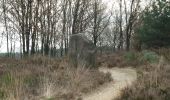 Trail On foot Maasmechelen - Mechelse Heide Blauwe ruit - Photo 5