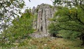 Tour Wandern Bort-les-Orgues - Tour des orgues à Bort les Orgues - Photo 2