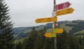 Tour Nordic Walking Val-de-Charmey - Treek charmey au lac noir.  - Photo 16