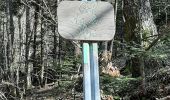 Trail Nordic walking Plateau d'Hauteville - cormaranche20220321 - Photo 3