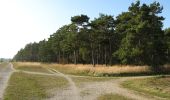 Randonnée A pied Oberschleißheim - Heidepfad - Mallertshofer Holz - Photo 6