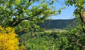 Tour Wandern Goesdorf - Goebelsmühle  - Photo 3