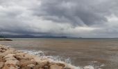 Excursión Bici de montaña La Londe-les-Maures - 2022 11 15 après pluie - Photo 1