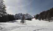 Trail Snowshoes Montricher-Albanne - Albanne - Prario -la Plagne - le Belvedere - Photo 5