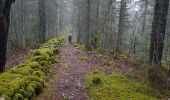 Trail Walking Villers-le-Lac - gr5 2 - Photo 1
