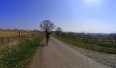 Percorso Mountainbike La Roche-en-Ardenne - activity_8521682946 - Photo 10