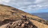 Tour Wandern Caniçal - Machado avec transfert de bus au milieu - Photo 9