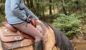 Trail Horseback riding Baccarat - Chez Alex mercredi 21 février 24 Mirador  - Photo 10