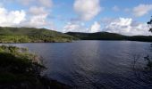 Trail Walking Le Marin - L'oeil bleu aller-retour  - Photo 18